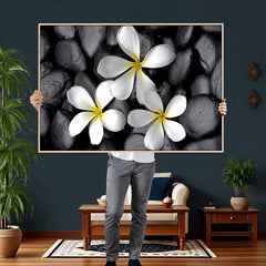 Plumeria Frangipani Black Stone Canvas | White Flower Spa