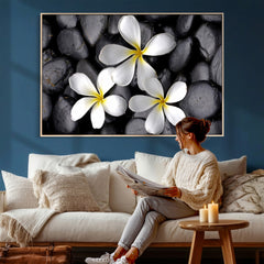 Plumeria Frangipani Black Stone Canvas | White Flower Spa