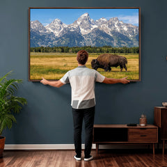 Bison in Mountain Landscape Wall Art Canvas Print – Western