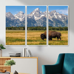 Bison in Mountain Landscape Wall Art Canvas Print – Western