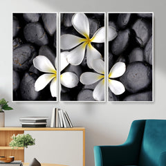 Plumeria Frangipani Black Stone Canvas | White Flower Spa