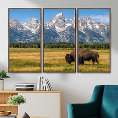 Bison in Mountain Landscape Wall Art Canvas Print – Western