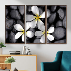 Plumeria Frangipani Black Stone Canvas | White Flower Spa