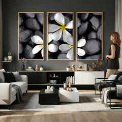 Plumeria Frangipani Black Stone Canvas | White Flower Spa
