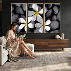 Plumeria Frangipani Black Stone Canvas | White Flower Spa