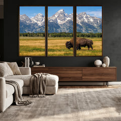 Bison in Mountain Landscape Wall Art Canvas Print – Western