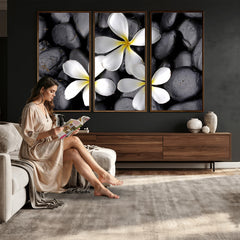 Plumeria Frangipani Black Stone Canvas | White Flower Spa