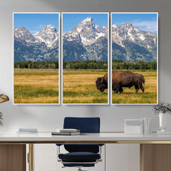 Bison in Mountain Landscape Wall Art Canvas Print – Western
