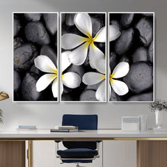 Plumeria Frangipani Black Stone Canvas | White Flower Spa
