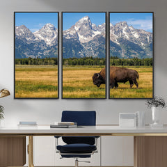 Bison in Mountain Landscape Wall Art Canvas Print – Western