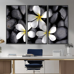 Plumeria Frangipani Black Stone Canvas | White Flower Spa