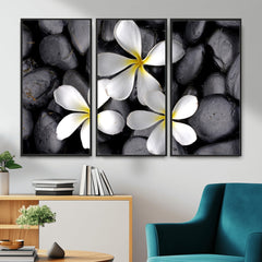 Plumeria Frangipani Black Stone Canvas | White Flower Spa