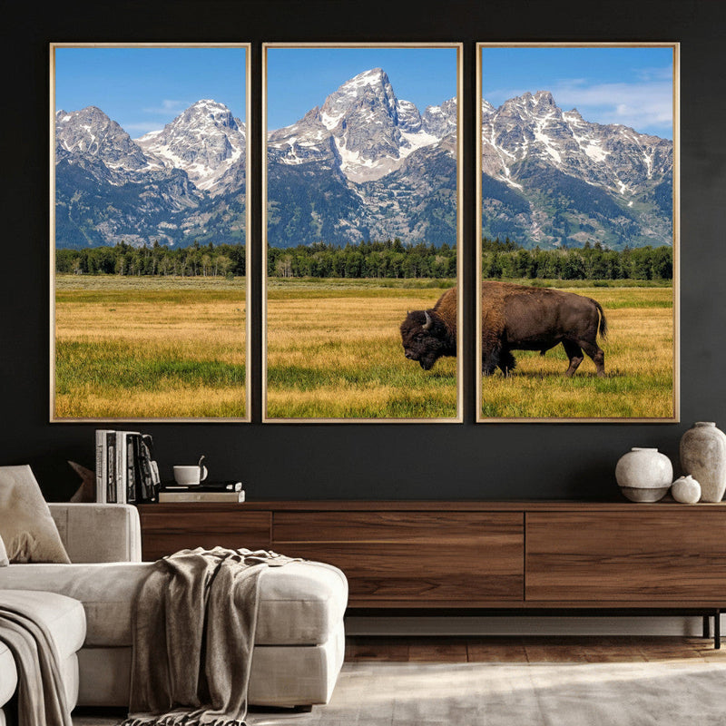 Bison in Mountain Landscape Wall Art Canvas Print – Western