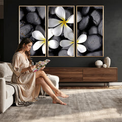 Plumeria Frangipani Black Stone Canvas | White Flower Spa