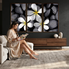 Plumeria Frangipani Black Stone Canvas | White Flower Spa