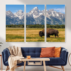 Bison in Mountain Landscape Wall Art Canvas Print – Western
