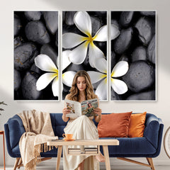 Plumeria Frangipani Black Stone Canvas | White Flower Spa