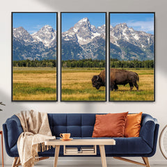 Bison in Mountain Landscape Wall Art Canvas Print – Western