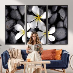 Plumeria Frangipani Black Stone Canvas | White Flower Spa