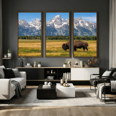 Bison in Mountain Landscape Wall Art Canvas Print – Western