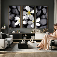 Plumeria Frangipani Black Stone Canvas | White Flower Spa
