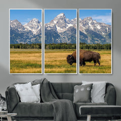 Bison in Mountain Landscape Wall Art Canvas Print – Western