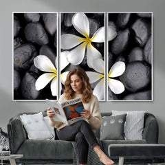 Plumeria Frangipani Black Stone Canvas | White Flower Spa