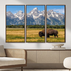 Bison in Mountain Landscape Wall Art Canvas Print – Western