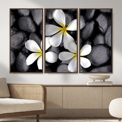 Plumeria Frangipani Black Stone Canvas | White Flower Spa