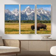 Bison in Mountain Landscape Wall Art Canvas Print – Western