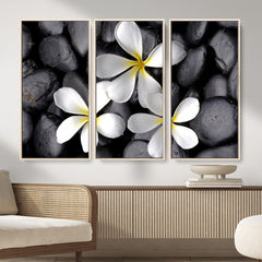 Plumeria Frangipani Black Stone Canvas | White Flower Spa