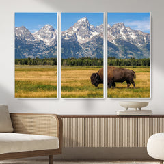 Bison in Mountain Landscape Wall Art Canvas Print – Western