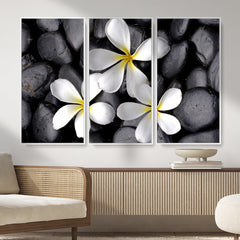 Plumeria Frangipani Black Stone Canvas | White Flower Spa