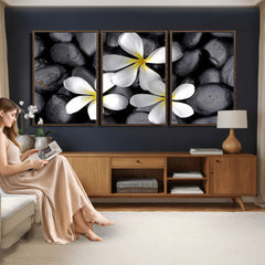 Plumeria Frangipani Black Stone Canvas | White Flower Spa