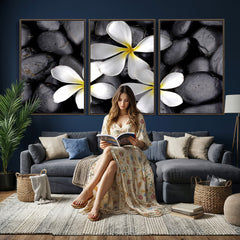 Plumeria Frangipani Black Stone Canvas | White Flower Spa