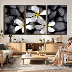 Plumeria Frangipani Black Stone Canvas | White Flower Spa