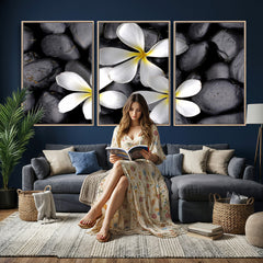 Plumeria Frangipani Black Stone Canvas | White Flower Spa