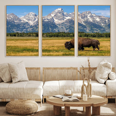 Bison in Mountain Landscape Wall Art Canvas Print – Western