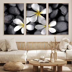 Plumeria Frangipani Black Stone Canvas | White Flower Spa