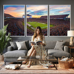 Auburn Stadium Sunset Wall Art Canvas Print, Jordan Hare