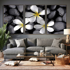 Plumeria Frangipani Black Stone Canvas | White Flower Spa