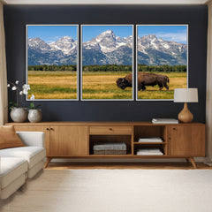 Bison in Mountain Landscape Wall Art Canvas Print – Western