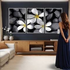 Plumeria Frangipani Black Stone Canvas | White Flower Spa
