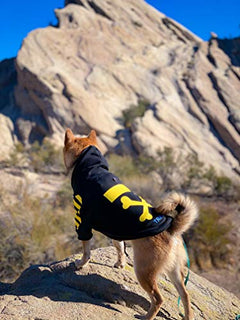 Fresh Pawz Woof Dog Hoodie