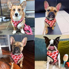 Luxury Red Lips Breathable Mesh Harness Chest Back + Traction