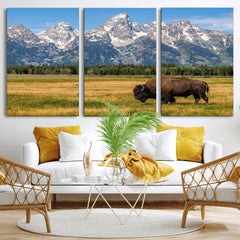 Bison in Mountain Landscape Wall Art Canvas Print – Western