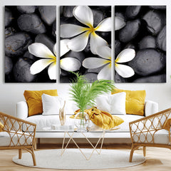Plumeria Frangipani Black Stone Canvas | White Flower Spa
