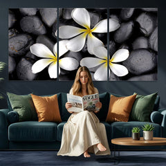 Plumeria Frangipani Black Stone Canvas | White Flower Spa