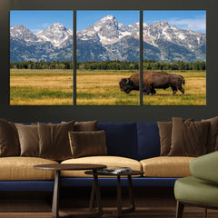 Bison in Mountain Landscape Wall Art Canvas Print – Western