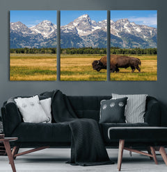 Bison in Mountain Landscape Wall Art Canvas Print – Western
